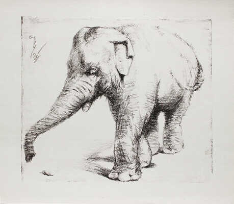 Шендеров Александр Семёнович. Слон 